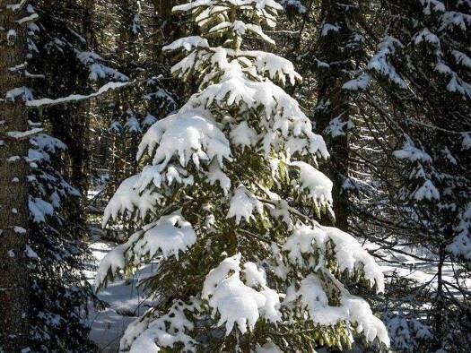 Einfamilienhaus zum Kauf 189.000 € 3 Zimmer 100 m² 1.276 m² Grundstück Ventschau 21371