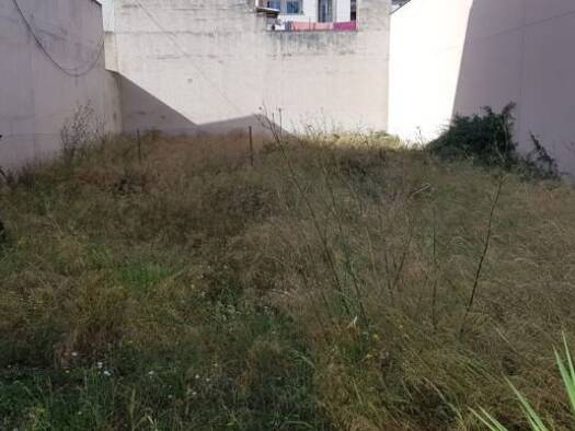 Haus zum Kauf 450.000 € 3 Zimmer 407 m² Grundstück Manacor