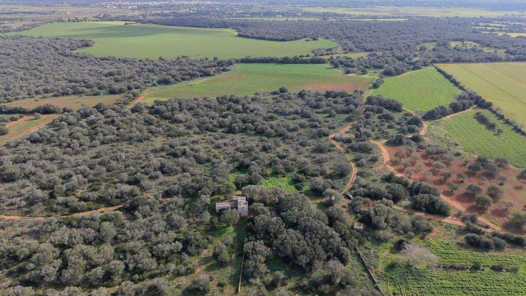 Grundstück zum Kauf 3.800.000 € 280.000 m² Grundstück Santanyi 07650