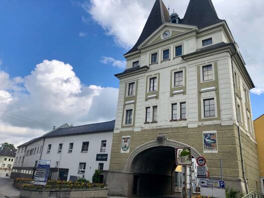 Haus zum Kauf 949.000 € 680 m² Schwanenstadt 4690