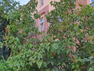 Wohnung zur Miete 615 € 3 Zimmer 78 m² Dachgeschoss, 2. Geschoss Leuben (Stephensonstr.) Dresden 01257