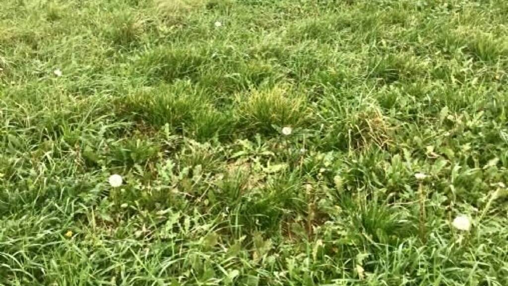 Grundstück zum Kauf 47.000 € 9.167 m² Grundstück Bodajk 8053