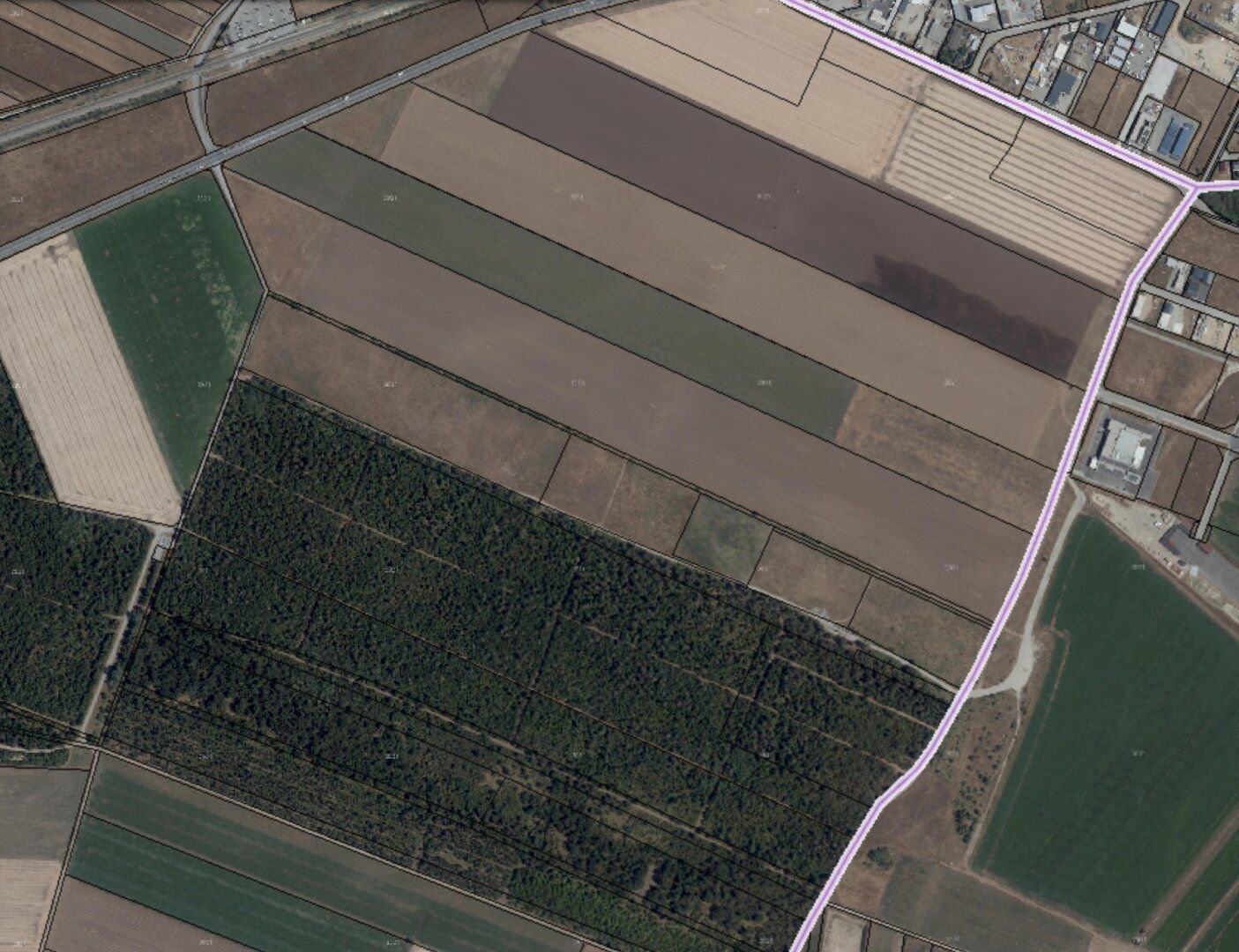 Landwirtschaftliche Fläche zum Kauf 58.494 m²<br/>Grundstück Markgrafneusiedl 2282