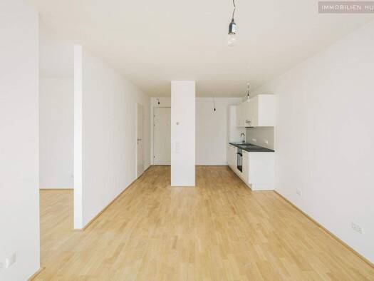Wohnung zur Miete - Erstbezug 592 € 2 Zimmer 42,6 m² 1. Geschoss Stockerau 2000