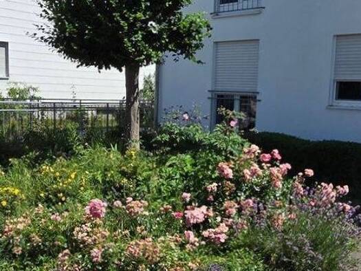 Terrassenwohnung zur Miete 1.120 € 3 Zimmer 75 m² Geschoss EG/3 frei ab sofort Ingolstadt 85051