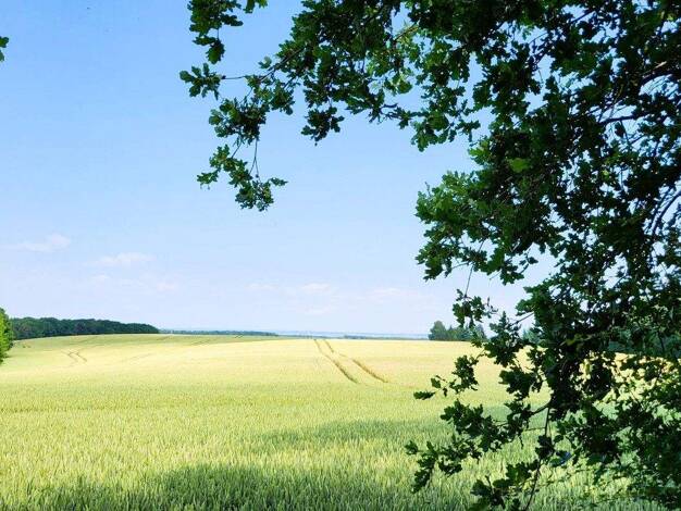 Grundstück zum Kauf provisionsfrei 228.000 € 827,4 m² Grundstück Kaltenhof Nordwestmecklenburg - Landkreis - Dassow 23942