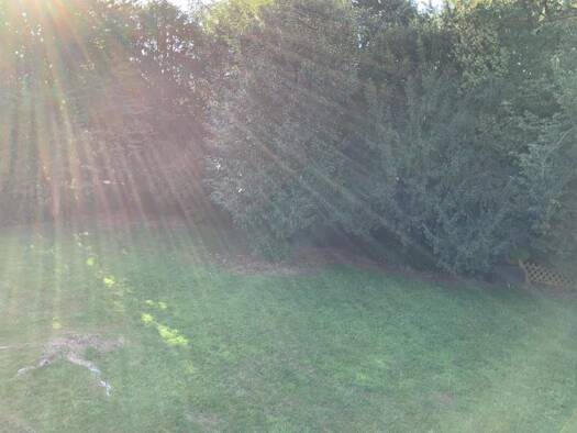 Wohnung zur Miete 599 € 3 Zimmer 77,9 m² 1. Geschoss frei ab 30.01.2026 Klausenerstraße 20 Ost Recklinghausen 45665