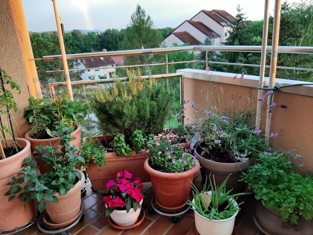 Wohnung zum Kauf provisionsfrei 210.000 € 3,5 Zimmer 80,6 m² 5. Geschoss Gießener Straße Heppenheim Heppenheim 64646