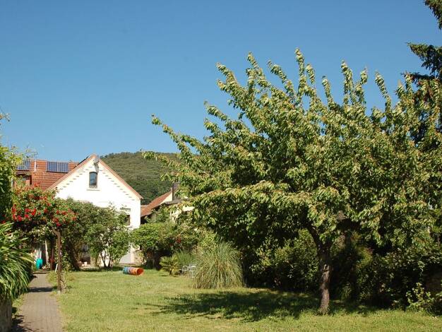 Mehrfamilienhaus zum Kauf 899.000 € 13 Zimmer 389 m² 1.812 m² Grundstück Gimmeldingen Neustadt an der Weinstraße 67435