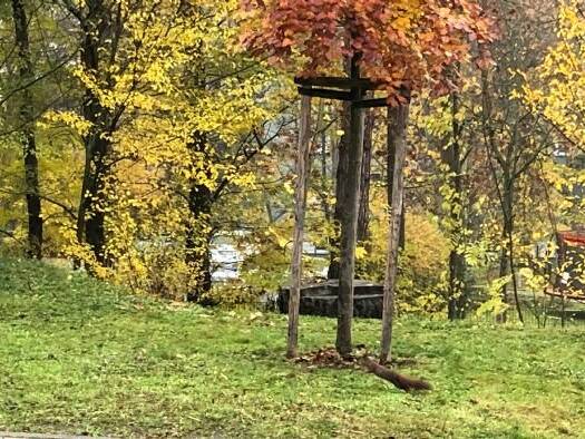 Terrassenwohnung zur Miete 650 € 2 Zimmer 54 m² Geschoss -1/3 frei ab 01.06.2026 Zöllner Str. 21 Westvorstadt Weimar 99423