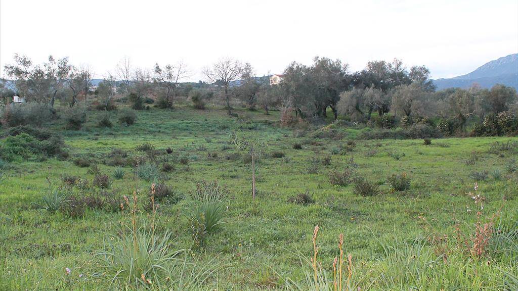 Land-/Forstwirtschaft zum Kauf 200.000 € 5.700 m² Grundstück Korfu