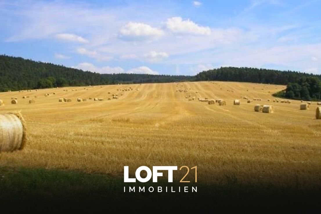 Land-/Forstwirtschaft zum Kauf 160.000 € 22.819 m²<br/>Grundstück Karlshuld Karlshuld 86668