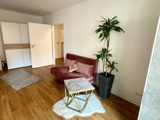 Wohnung zur Miete 790 € 1 Zimmer 45 m² frei ab 01.01.2026 Schießgartenstraße 11 Altstadt Mainz 55116