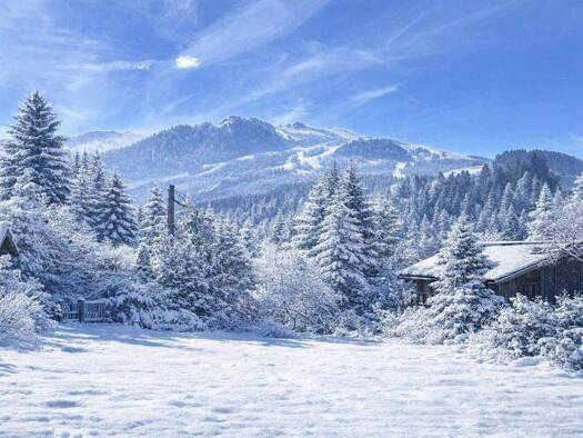 Haus zum Kauf 3.450.000 € 376 m² 1.002 m² Grundstück Kitzbühel 6370