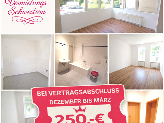 Wohnung zur Miete 395 € 3 Zimmer 77 m² EG frei ab sofort Rößlerstraße 18b Altchemnitz Chemnitz 09120