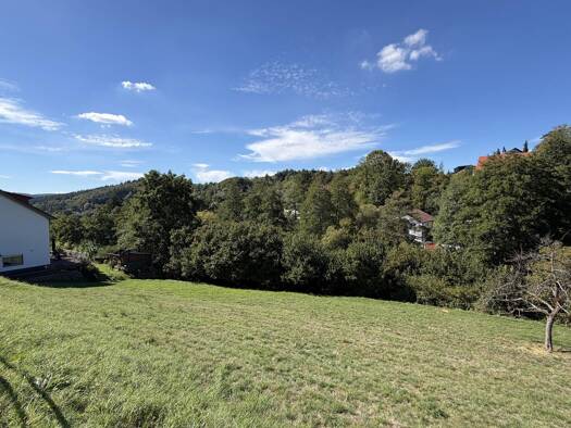 Grundstück zum Kauf 215.000 € 660 m² Grundstück Altenbach Schriesheim 69198