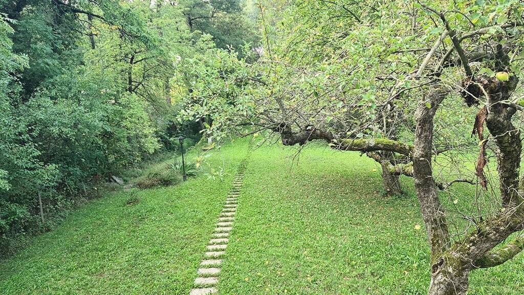 Grundstück zum Kauf 699.000 € 3.123 m² Grundstück Eichgraben 3032