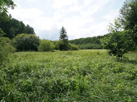 Land-/Forstwirtschaft zum Kauf 49.500 € 78.886 m² 78.886 m² Grundstück Ochtmissen Lüneburg 21339