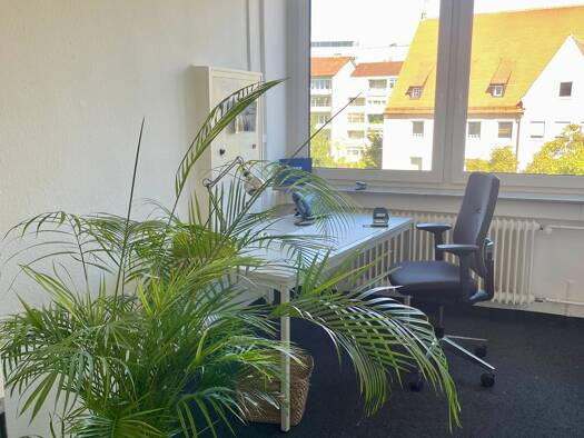 Bürofläche zur Miete provisionsfrei 900 € 3 Zimmer 35 m² Bürofläche teilbar ab 10 m² Neue Straße 52 Mitte Ulm 89073