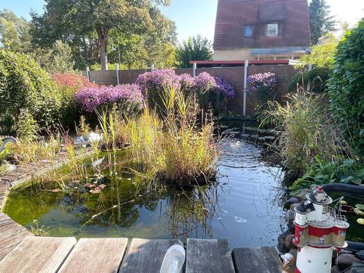 Einfamilienhaus zum Kauf 379.000 € 5 Zimmer 110 m² 1.238 m² Grundstück Neu Zittau Gosen-Neu Zittau 15537