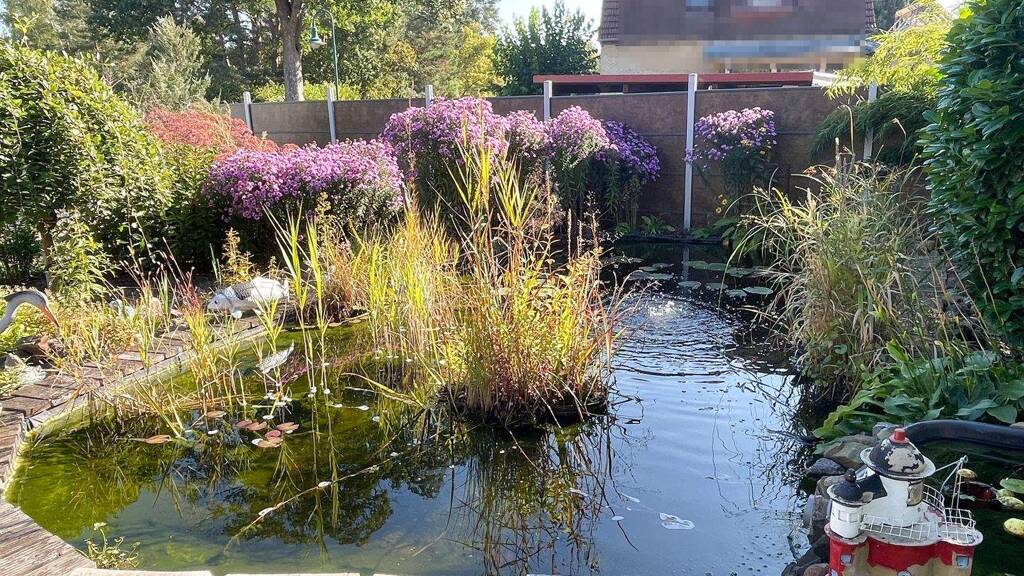 Einfamilienhaus zum Kauf 379.000 € 5 Zimmer 110 m² 1.238 m² Grundstück Neu Zittau Gosen-Neu Zittau 15537