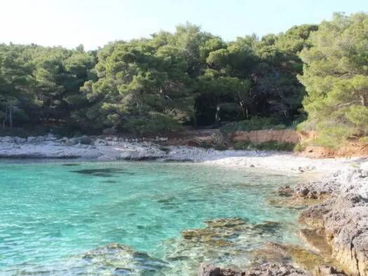 Bauernhof zum Kauf Hvar 21450