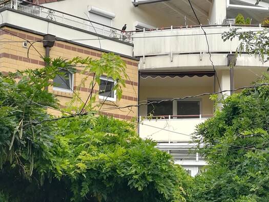 Wohnung zur Miete 657 € 2 Zimmer 61 m² 1. Geschoss frei ab 01.11.2026 Münstersche Straße 15 A Bad Rothenfelde Bad Rothenfelde 49214