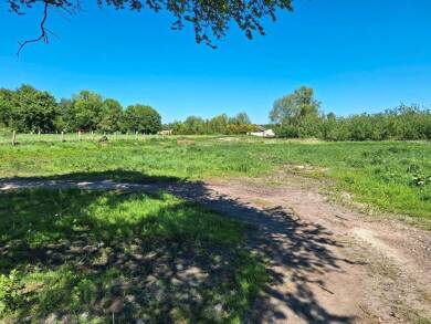 Grundstück zum Kauf 420.000 € 22.000 m² Grundstück Sanitz Sanitz 18190