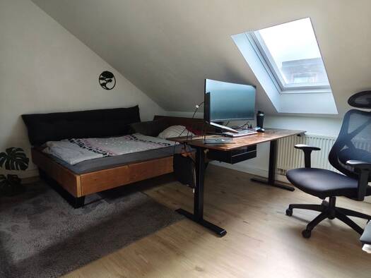 Wohnung zur Miete 530 € 1 Zimmer 12 m² frei ab 01.05.2026 Innere Brucker Straße Innenstadt Erlangen 91054