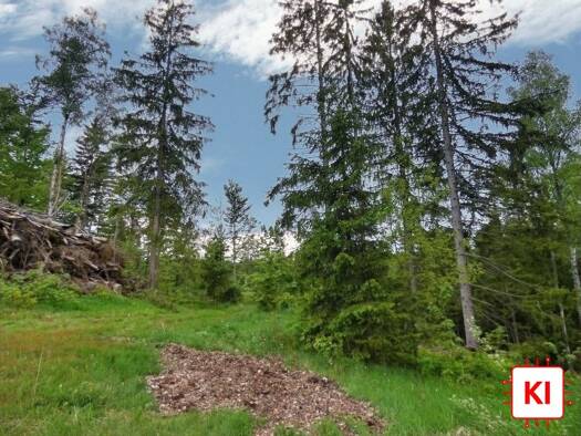 Land-/Forstwirtschaft zum Kauf 55.000 € 13.626 m² Grundstück Flossenbürg Flossenbürg 92696