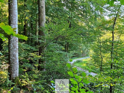 Grundstück zum Kauf als Kapitalanlage geeignet 49.000 € 4.630 m² Grundstück Baierbrunn 82065