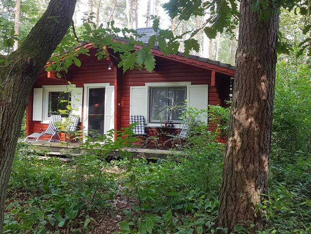 Haus zum Kauf provisionsfrei 350.000 € 6 Zimmer 110 m² 2.600 m² Grundstück Harlingen Hitzacker 29456