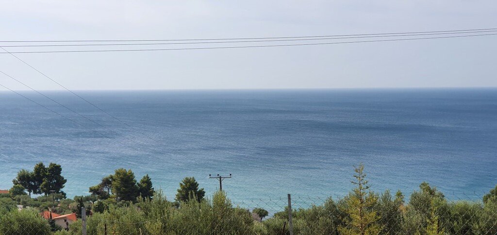 Land-/Forstwirtschaft zum Kauf 380.000 € 4.200 m²<br/>Grundstück Chalkidiki