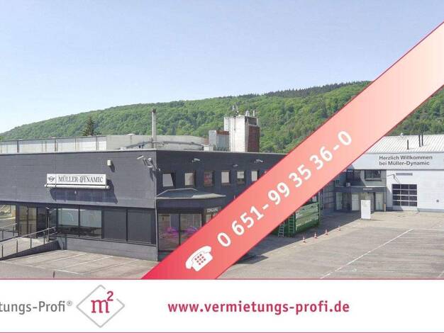 Bürofläche zur Miete 5.180 € 11 Zimmer 740 m² Bürofläche Zewen Trier / Euren 54294