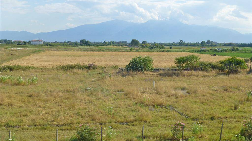 Land-/Forstwirtschaft zum Kauf 100.000 € 4.797 m² Grundstück Olympische Riviera