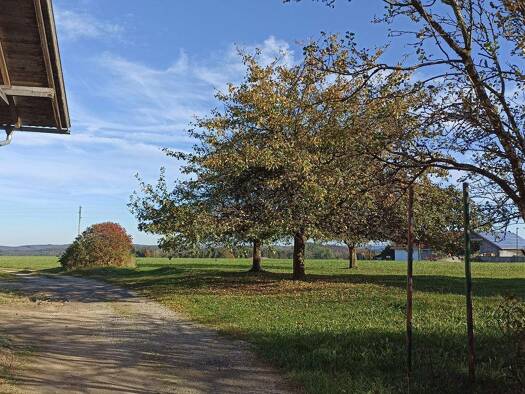 Land-/Forstwirtschaft zum Kauf 1.200.000 € 6.675 m² Grundstück Beschaunen Eggenthal 87653