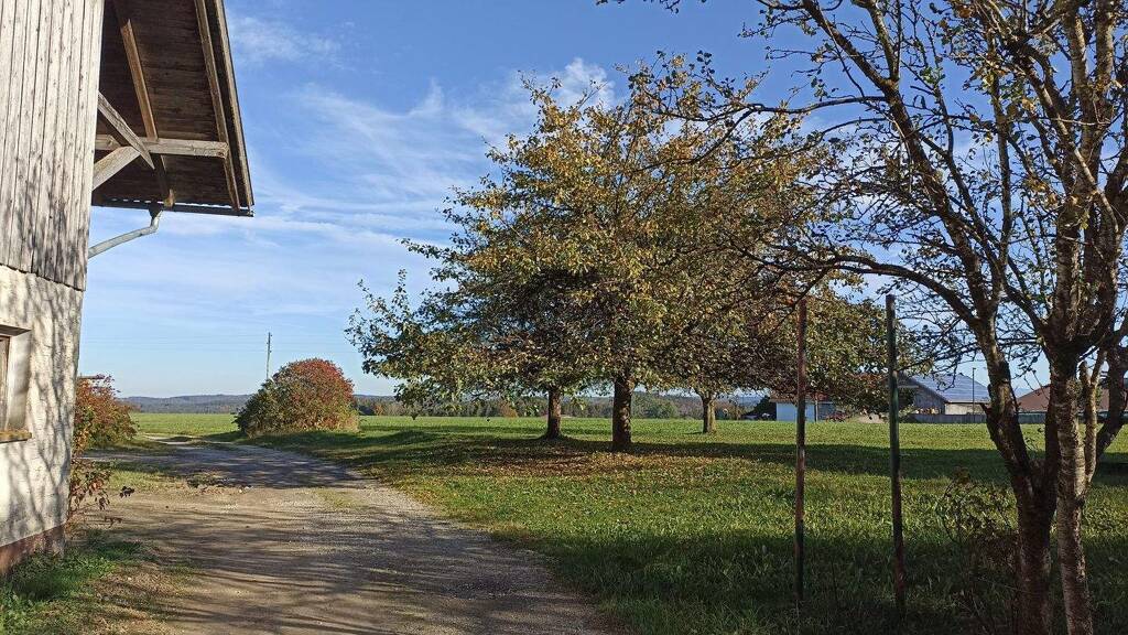 Land-/Forstwirtschaft zum Kauf 1.200.000 € 6.675 m² Grundstück Beschaunen Eggenthal 87653