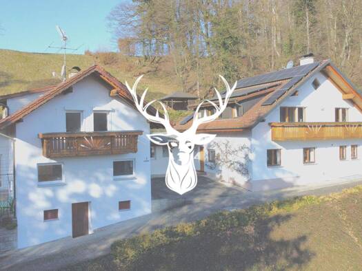 Haus zum Kauf 449.000 € 4 Zimmer 125 m² 1.800 m² Grundstück Bühl Klettgau 79771