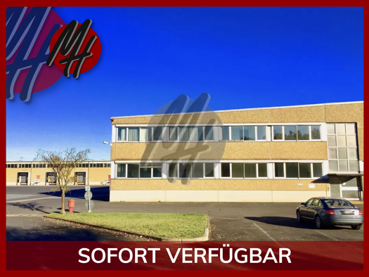Halle/Industriefläche zur Miete 5,90 € 1.850 m² Lagerfläche Sulzbach 65843