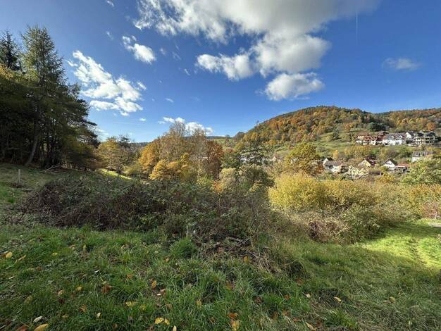 Grundstück zum Kauf 147.000 € 1.035 m² Grundstück Heimbuchenthal 63872