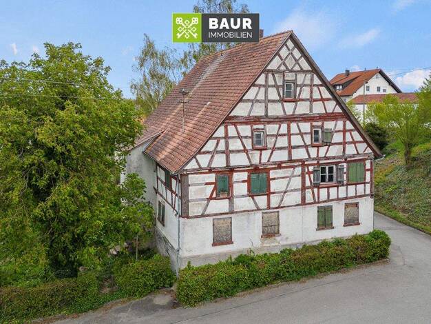 Einfamilienhaus zum Kauf 95.000 € 8 Zimmer 160 m² 710 m² Grundstück Ertingen 88521