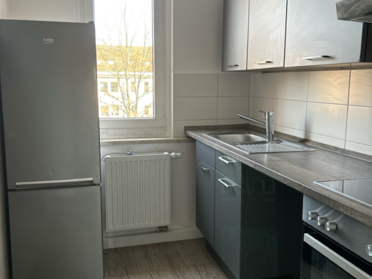 Wohnung zur Miete 282 € 2 Zimmer 46,3 m² 3. Geschoss Fritz-Heckert-Straße 39 Marienthal Zwickau 08060