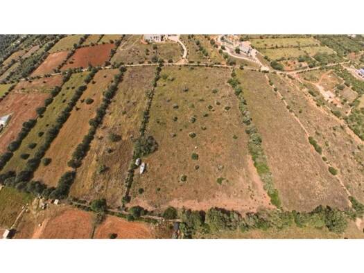Acker-/Waldstück zum Kauf 372.000 € ses Salines 07640