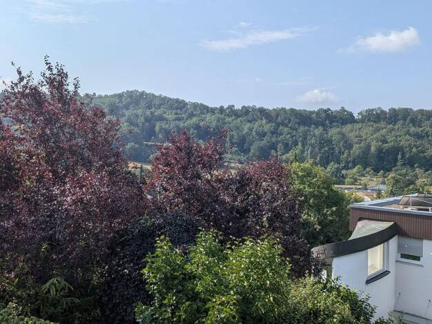 Einfamilienhaus zum Kauf provisionsfrei 747.500 € 4 Zimmer 152 m² 443 m² Grundstück Einsteinstraße 78 Ramtel Leonberg 71229