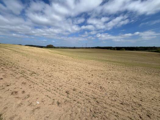Landwirtschaftliche Fläche zum Kauf 360.000 € 172.686 m² Grundstück Groß Görnow Sternberg 19406