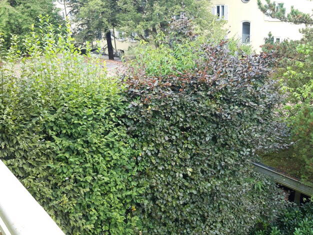 Wohnung zur Miete 1.195 € 2 Zimmer 55 m² 3. Geschoss frei ab 01.06.2026 Sendling-Westpark Hadern München 81377