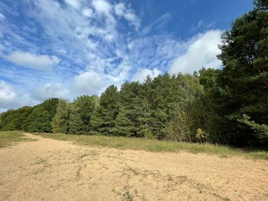 Forstwirtschaft zum Kauf 299.000 € 300.684 m² Grundstück Schönfließ 16567