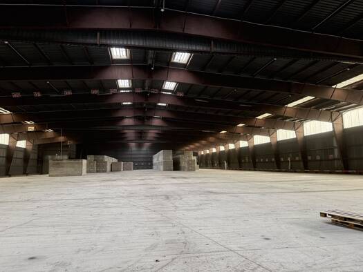 Lagerhalle zur Miete 11.716 m² Lagerfläche teilbar ab 645 m² Stockerau 2000