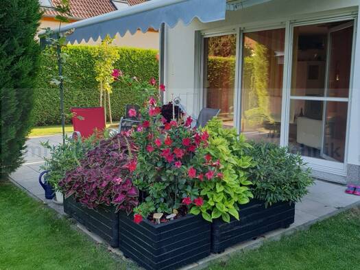 Einfamilienhaus zum Kauf 650.000 € 6 Zimmer 180 m² 822 m² Grundstück Engelsdorf Ost 04319