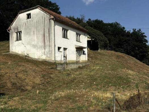 Haus zum Kauf 50.000 € 3 Zimmer 69 m² Petrovsko Petrovsko